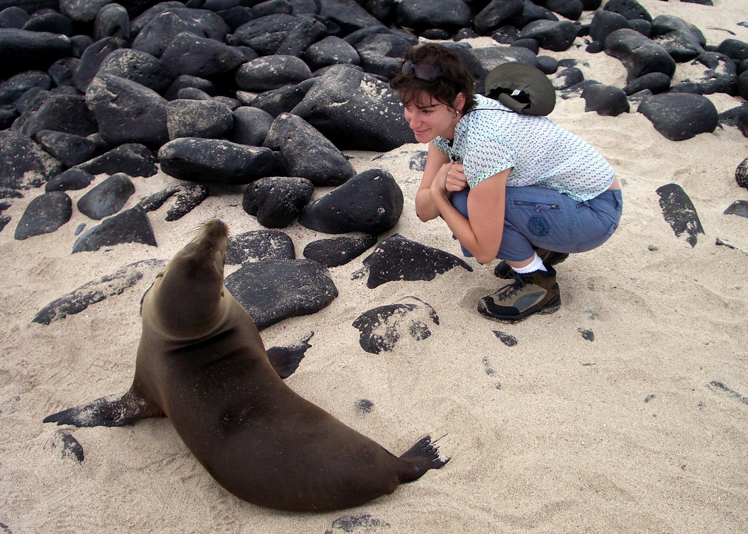 Dr. Meg Marino in the Galapagos Islands with a sea lion.